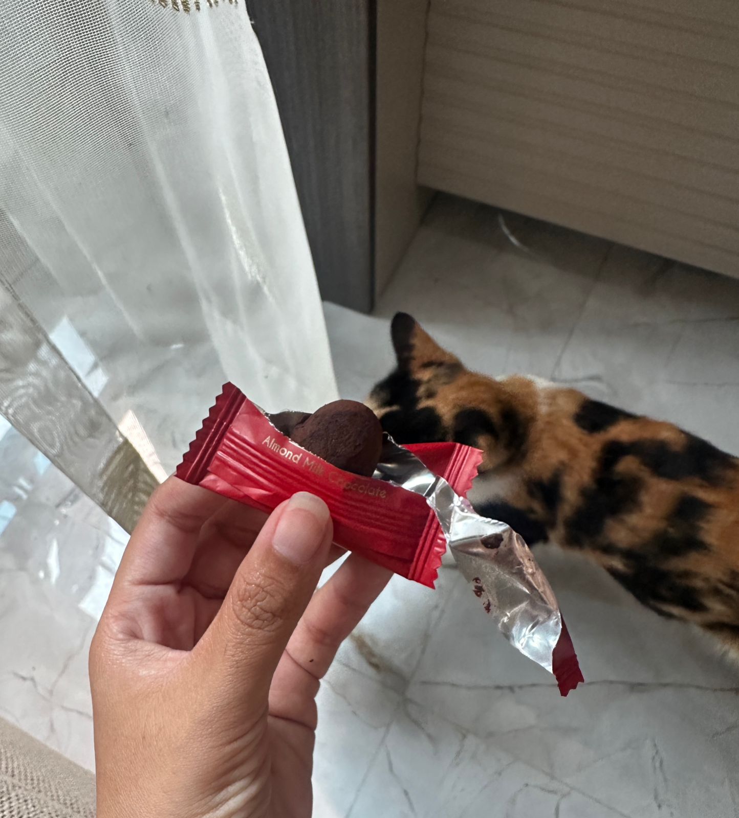 treats from kevin 4